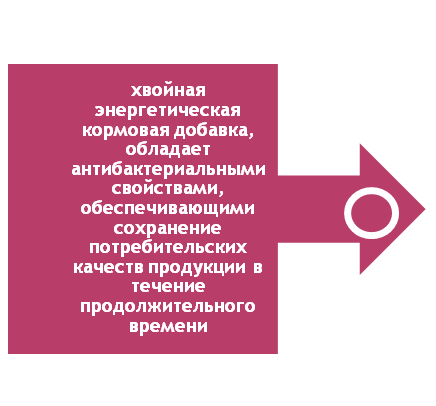 hed_prem-2.png